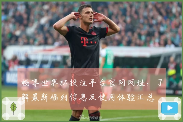 畅享世界杯投注平台官网网址，了解最新福利信息及使用体验汇总