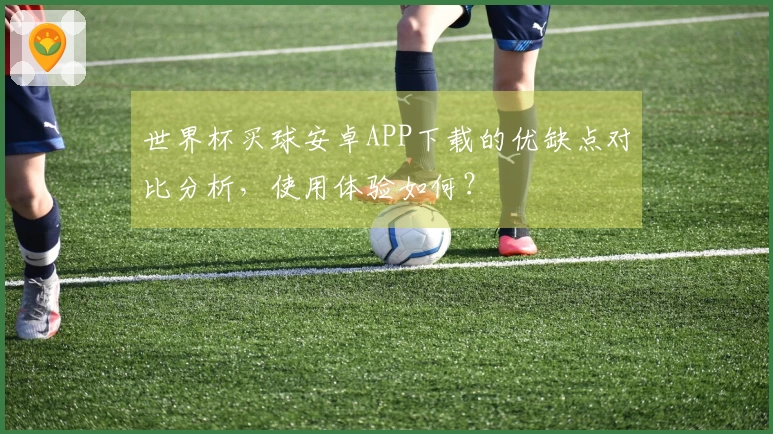 世界杯买球安卓APP下载的优缺点对比分析，使用体验如何？