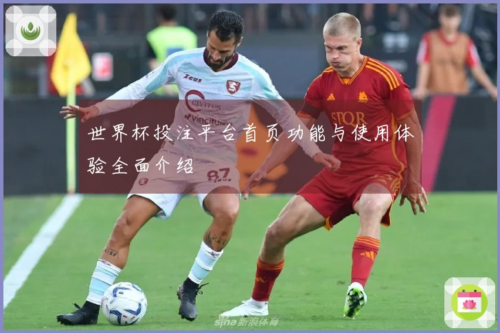 世界杯投注平台首页功能与使用体验全面介绍